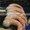 the most popular seafood meat fruits vegetables food mini vacuum skin packing machine