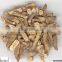 factory wholesale best price costus oil root oil