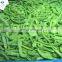 SinocharmIQF Frozen Vegetables Frozen Green Chilli Ring for wholesales