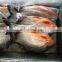 IQF Frozen Red Pomfret Red Pacu Fish