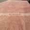 Hot selling Plywood Natural Birch Okoume Bintangor Veneered Commercial Furniture Grade Playwood