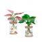 Hot Selling Christmas Gift Plastic Pots Hydroponics Planter Plant Plants Planters Indoor Self Watering Transparent Flower Pot