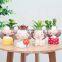 Manufacturer Creative Cartoon Meaty Resin Pot Garland Home Gardening Desktop Girl Flower Pots For Plant Flowers