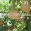 Fruit growing protection paper bag