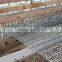 Crimped Wire Mesh for pig raising /Galvanized crimped wire mesh