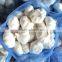 common snow white garlic,packing mesh bag garlic,2016 Crop Chinese jinxiang normal white garlic