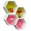 Colorful Back Hexagon cube shelf
