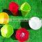 economic plastic flower plant pot