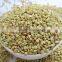 hulled buckwheat kernels green colour withour husk