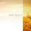 Hot Sell Security PET Window Film