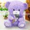 bear resin piggy coin jar creative tin piggy bank