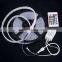 Facotry produced SMD LED Light source for SMD LED Strip