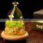 glass dome with wood,decorative glass dome for wedding