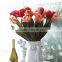 Dried flowers, single branch the Dutch tulip flower wholesale