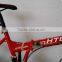 cheap folding bike/mini folding bike/China folding bike (FD-20022)