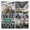 Hot sell supply 304 316L stainless steel coil used for solar water heater