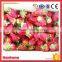 China Good Quality Frozen Iqf Strawberry