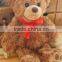 promotion teddy bear backpack for kids / plush teddy bear bag gifts / Customized teddy bear school bag plush toy