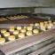 Professional gas biscuit tunnel oven industrial tunnel oven