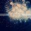 Economic hot-sale shipping fireworks