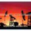 Poly anion cellulose oil well additives