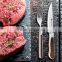 high quality casting color wood handle steak knife and fork wooden fork