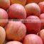 China Fresh Perfumed Fuji Apple