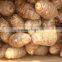 Chinese dried taro with taro root plant photos