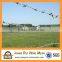 galvanized barbed wire for sales