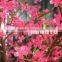Popular Cherry Blossom Led Tree , Super Simulation Tree Height 1.5m