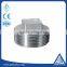 BS thread&NPT thread malleable iron/stainless steel bushing plug pipe fittings