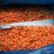 Frozen Carrot Exporter
