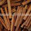 High oil content cassia cinnamon