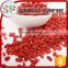 More and more popular goji berries dried with high quality