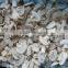 Frozen mushroom champignon whole/sliced