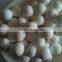 99% White Tabular Alumina Sintered tabular alumina powder for Ceramic and Refractory Materials