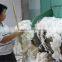 industrial wool washing machine prices