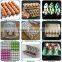 Machine Manufacturer Small Egg Tray Weight Making Machine