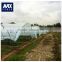 Hot selling Muti-span greenhouse film 200 microns