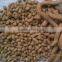 fish feed extruder China supplier