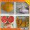 Stainless steel Papaya peeler peel peeling machine
