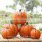 Resin thanksgiving decorations artificial thanksgiving pumpkin