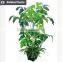 Artificial topiary ficus tree bonsai bamboo tree with green trunk for outdoor use