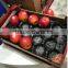 Blue Color Disposable Plastic Fruit Tray