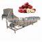 Electric Fruit Bubble Washer Apple Cleaning Tomato Vegetables  Washing Cleaning Machine