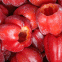 Frozen Green sweet  pepper whole