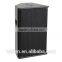 Nexo PS12-R2, Neodymium Speaker, 12 Inch Passive 2-way Full Range Loudspeaker, Stage Monitors Quality Choice
