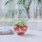 Handmade Jingdezhen Ceramic creative paint pots