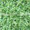 Sinocharm Frozen vegetable IQF Green capsicum Frozen Green Pepper Dice
