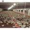 Chicken Broiler Houses